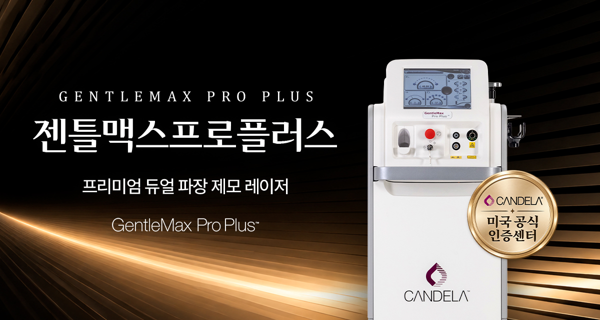 하이린 젠틀맥스프로플러스 이벤트